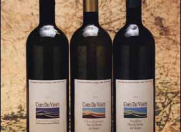 Azienda Vitivinicola Corte dei Veneti sas