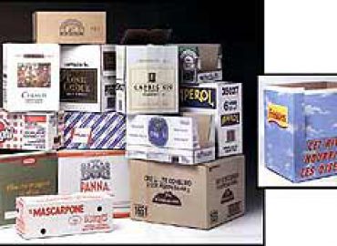 Central Box Italia srl
