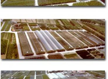 Vannucci Piante Azienda Agricola di Vannucci Vannino