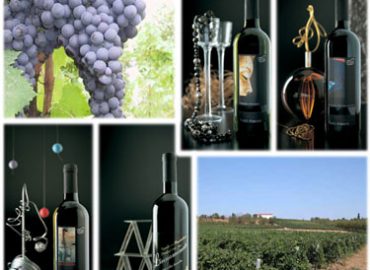 Cantina Sociale Coop di Forli’ e Predappio