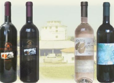 Cantina Sociale di Mantovana Scrl