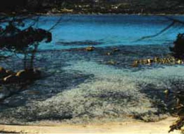 Hotel Casamia