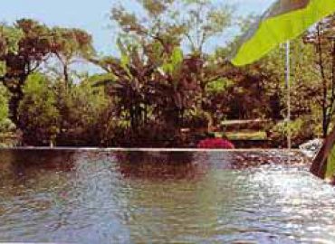 Piante MATI di Miro Cesare Mati & C