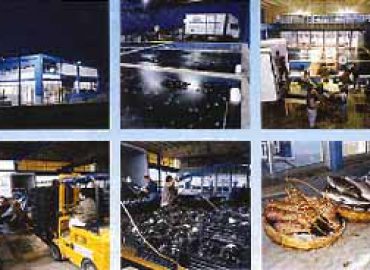 ITTIMAR BASSO ADRIATICO coop arl