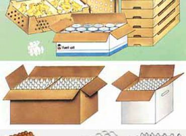 Moncartons spa