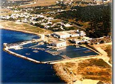 Jolly Mare snc