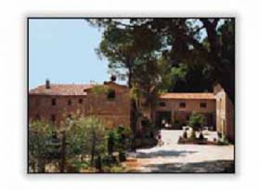 Tenuta le Coste srl