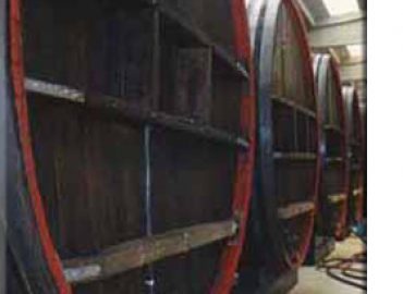 Acetificio Carandini Emilio srl