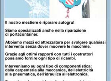 Gru Service di Luca Ciampi