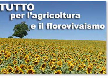 Agraria Castellare srl