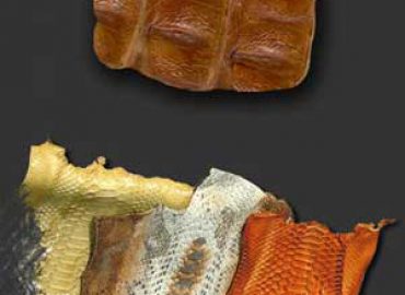 Accoppiature Pisane sas