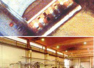 Bosco F.lli srl