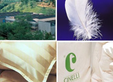 Cinelli Piume e Piumini srl
