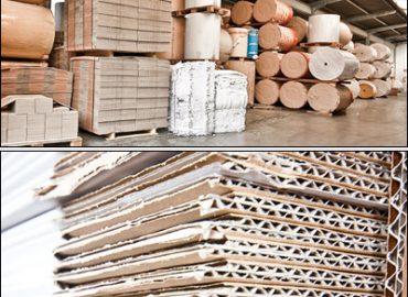 Cartondul di Maule Walter