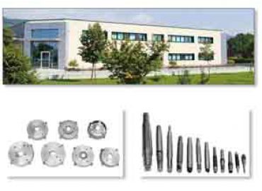 Piemme Electric Motors srl