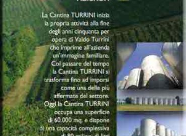 Cantine Turrini Valdo & Figlio spa