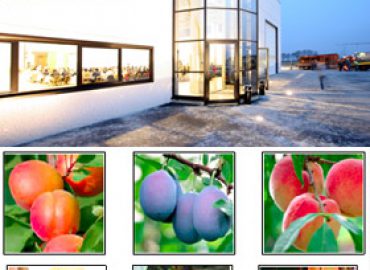 Bio Fruit Service srl