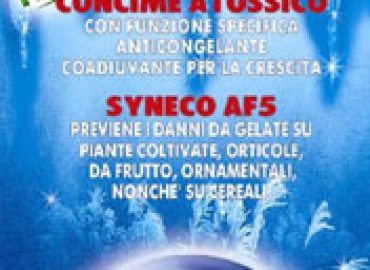 Syneco Bologna srl
