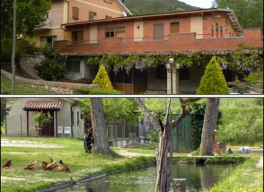 Agriturismo IL CARDELLINO di Giannone Maria